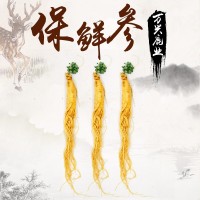 東北特產(chǎn)保鮮人參 泡酒煲湯大個人白參 整枝新鮮長白山人參批發(fā)