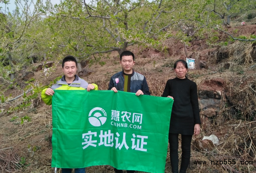 這是一張四川漢源李子哥探索農村電商之路的配圖