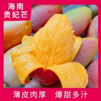 海南貴妃芒 三亞熱帶應季新鮮水果非樹上熟芒果批發(fā) 現貨整箱代發(fā)