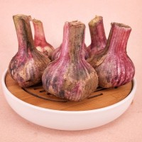 山東大蒜一件代發 干蒜，大干蒜 專業倉儲 ERP對接 5斤裝