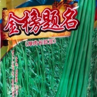 批發蔬菜種子 華贛翠綠長豆角 基地 菜園 菜場種子 400克廠家供應
