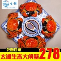 出售 生鋒生態(tài)大閘蟹宜興太湖螃蟹批發(fā)線上擔保交易 質(zhì)優(yōu)價廉