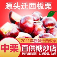 遷西板栗新鮮遷西板栗產地直發(fā)炒貨板栗炒板栗產地特栗鮮板栗