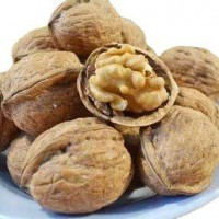 新貨上市，常年供應核桃，質量保證 價格優惠