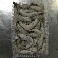 加工南美白對蝦，冷凍南美白對蝦，唐山南美白對蝦，天津南美蝦