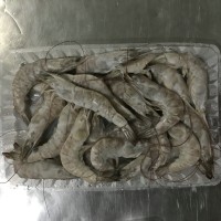 冷凍南美白對蝦，加工南美白對蝦，河北南美白對蝦，唐山南美對蝦