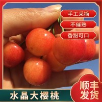 代理水晶順豐新鮮水果批發(fā)煙臺(tái)美早大櫻桃大果大果5斤大連車?yán)遄?/></a>
<ul><li><a href=