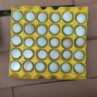 精品小綠殼蛋，凈重30-35斤，日撿日發