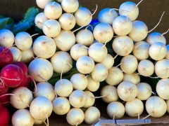 種植白蘿卜如何進(jìn)行土肥管理,管理要點(diǎn)都有哪些?