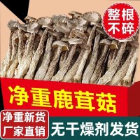 鹿茸菇干貨500g云南特產脆脆菇菌包材料營養煲湯佳品50g