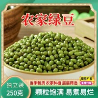 新鮮優質綠豆一件代發新貨農家綠豆湯綠豆粥綠豆糕原料