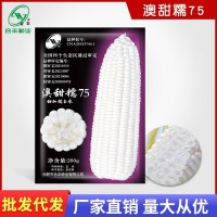 澳甜糯75白玉米種子高大飽滿甜玉米種籽四季香甜軟糯玉米種孑大全