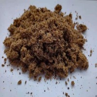 廠家供應(yīng) 膨化棉籽 反芻動(dòng)物飼料