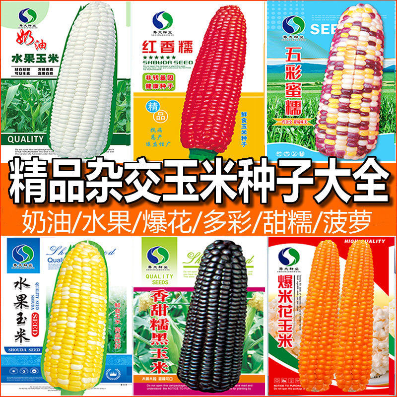 O1CN01JGcf0x1tBlFgHnVdH_!!2212704855864-0-cib