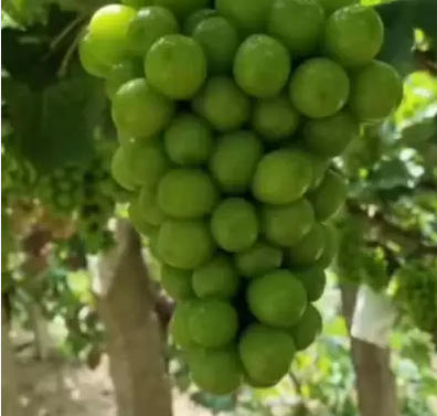 ScreenShot_2026-03-18_172925_910