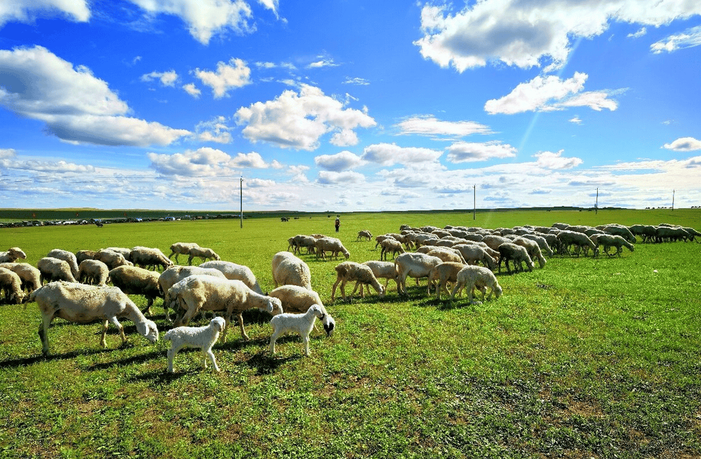 樂林丨讓每個人，樂享品質(zhì)涮烤生活